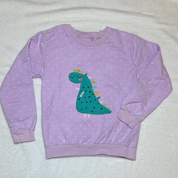 Other - Girls Purple polka dot Dinosaur appliqué Sweatshirt size 6